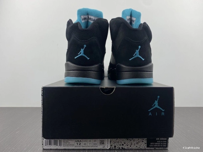 Aqua Air 5 Jordan DD0587-047 0827